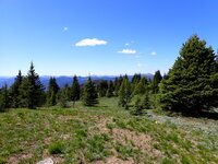 P7061044.JPG
