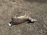 IMG_2330.jpeg