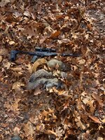 IMG_9152.jpeg