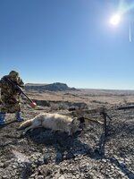 IMG_0779.jpeg