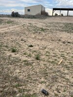 IMG_8535.jpeg