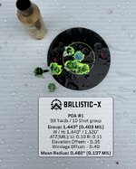 IMG_0207.jpeg