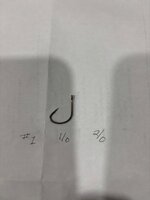 IMG_1174.jpeg