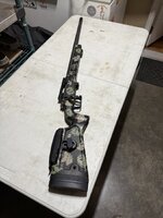 IMG_2465.JPG IMG_2465.JPG