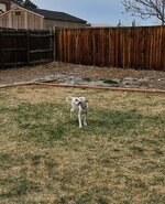 20260410_173139.jpg 20260410_173139.jpg