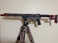 IMG_2324.jpeg