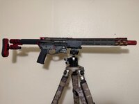 IMG_2327.jpeg
