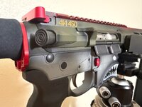 IMG_2328.jpeg