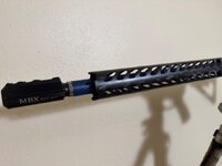 IMG_2337.jpeg
