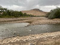 IMG_9532.jpeg