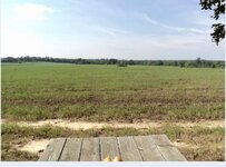 IMG_0154.jpeg