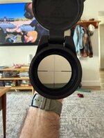 IMG_8469.jpeg