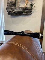IMG_2830.jpeg