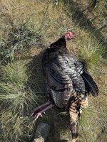 IMG_1559.jpeg