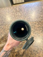 IMG_6185.jpeg