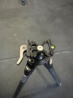IMG_3566.jpeg