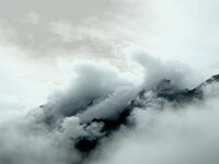 IMG_4338.jpeg