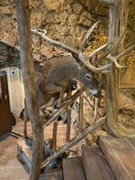 IMG_2144.jpeg