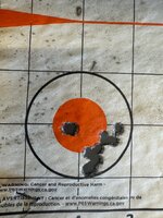 IMG_4576.jpeg