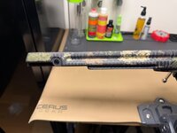 IMG_0536.jpeg