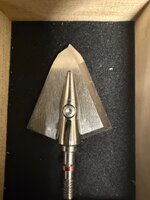 IMG_0428.jpeg