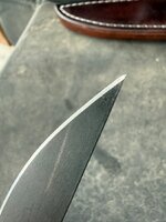 IMG_2191.jpeg