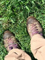 IMG_3260.jpeg IMG_3260.jpeg