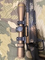 IMG_2595.jpeg