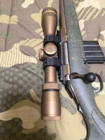 IMG_2598.jpeg