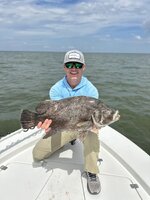 IMG_3591.jpeg IMG_3591.jpeg