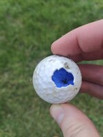 1000005162.jpg 1000005162.jpg