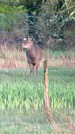 IMG_6140.jpeg