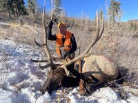 Luke Schultz Bull Elk.JPG