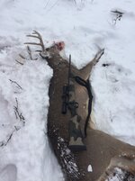 IMG_0834.jpeg
