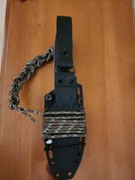 20260408_180652.jpg