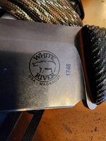 20260408_180739.jpg