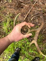 IMG_7073.jpeg
