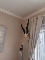 IMG_0709.jpeg