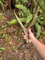 IMG_7068.jpeg