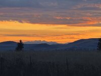 IMG_1108.jpeg