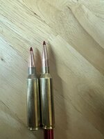 IMG_8459.jpeg