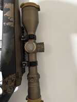IMG_3245.jpeg