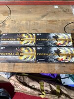 IMG_8537.jpeg