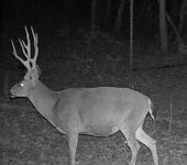 IMG_0927.jpeg