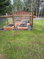 IMG_7778.jpeg