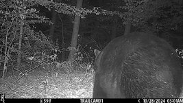IMG_0059.jpeg