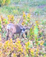 IMG_6147.jpeg