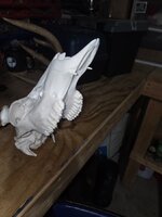 20260414_151501.jpg