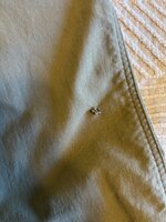 IMG_2951.jpeg