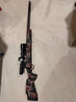 IMG_6267.jpeg